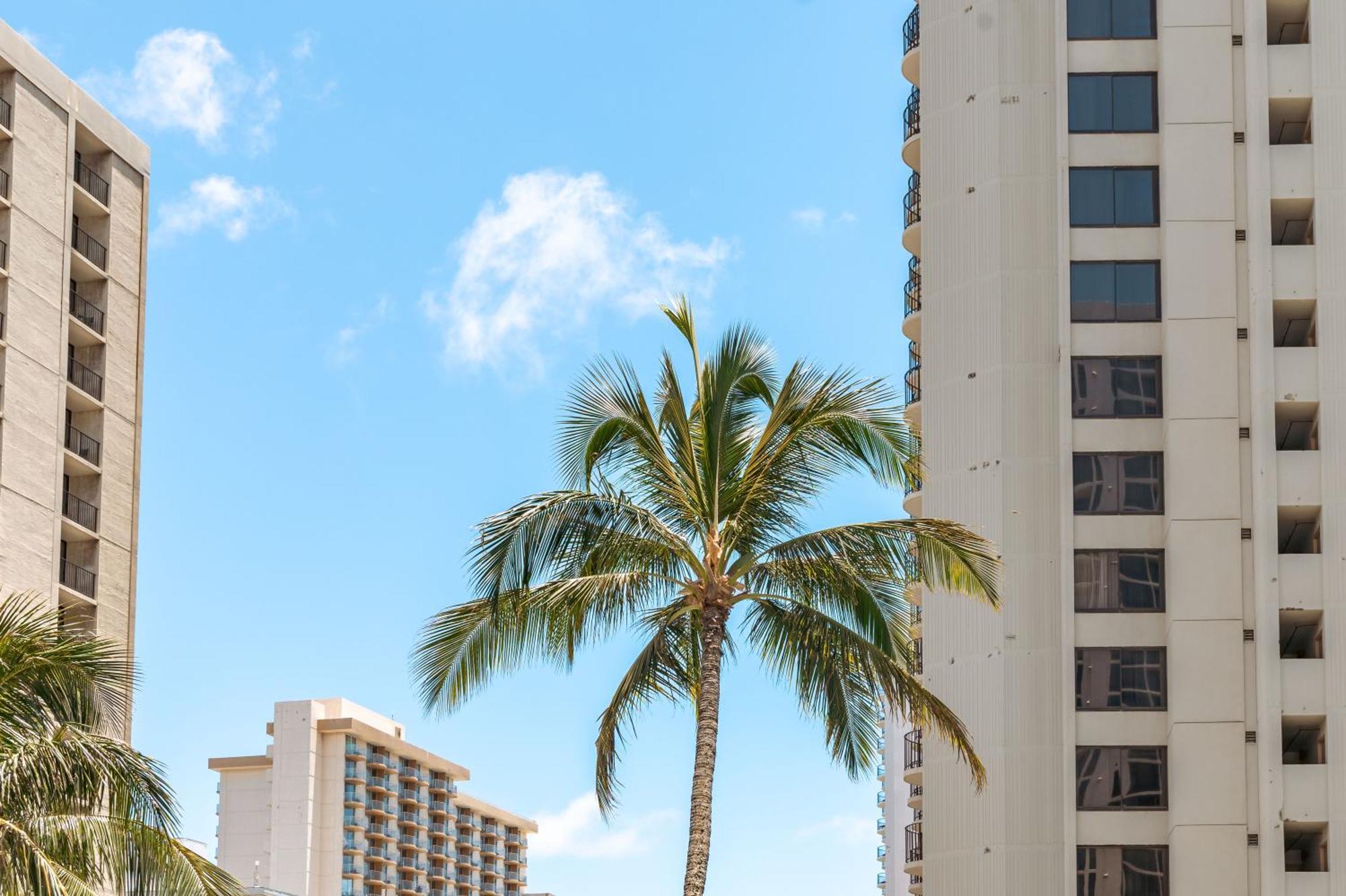 Beautiful Ocean And Diamond Head Views With Parking Daire Honolulu Dış mekan fotoğraf
