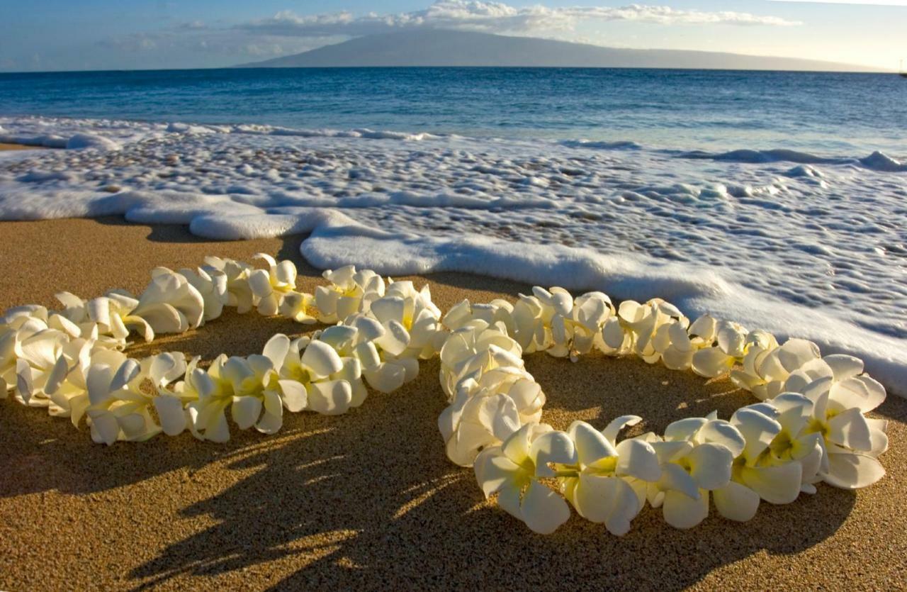 Beautiful Ocean And Diamond Head Views With Parking Daire Honolulu Dış mekan fotoğraf